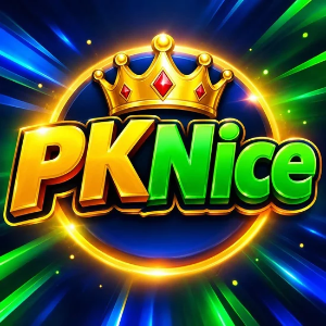 PKNice Game